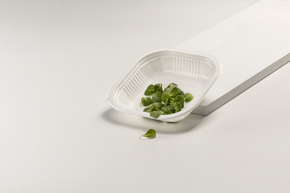 piatto compostabile con insalta